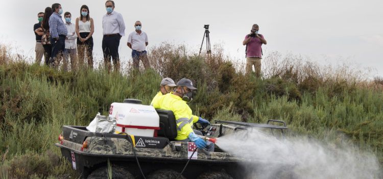 La Diputació convoca una reunió de coordinació amb els 135 ajuntaments i les noves adjudicatàries del millorat Pla Provincial Contra els Mosquits