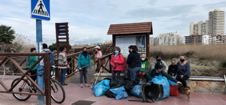 Apnal-Ecologistes en Acció Vinaròs retira residuos sòlidos en el Prat de Peñíscola