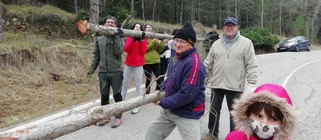 Fotos: Vallibona ja té el pi per a la barraca de Sant Antoni