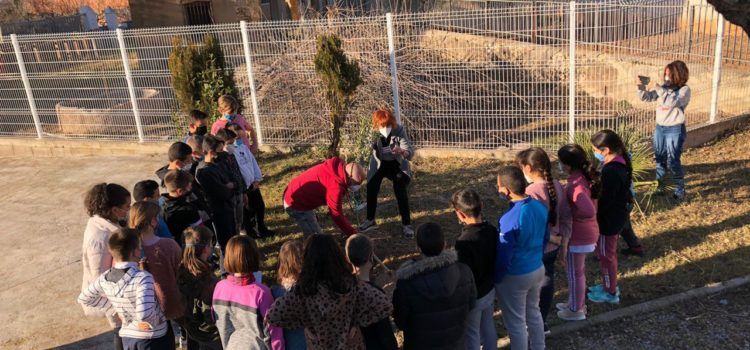 “El árbol de la palabra” al CRA Araboga (Cervera-La Jana-Canet)