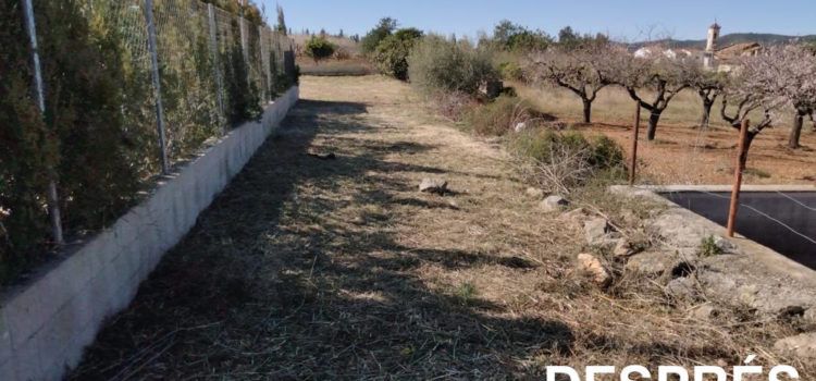 Santa Magdalena esbrossa la zona de l’ecoparc i el dota d’il·luminació