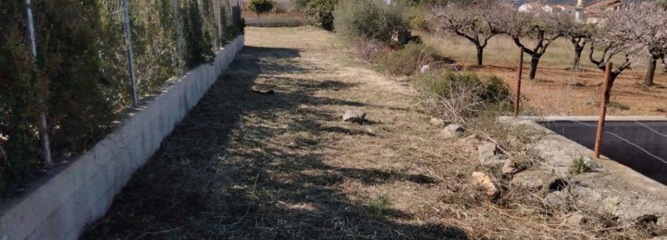 Santa Magdalena esbrossa la zona de l’ecoparc i el dota d’il·luminació