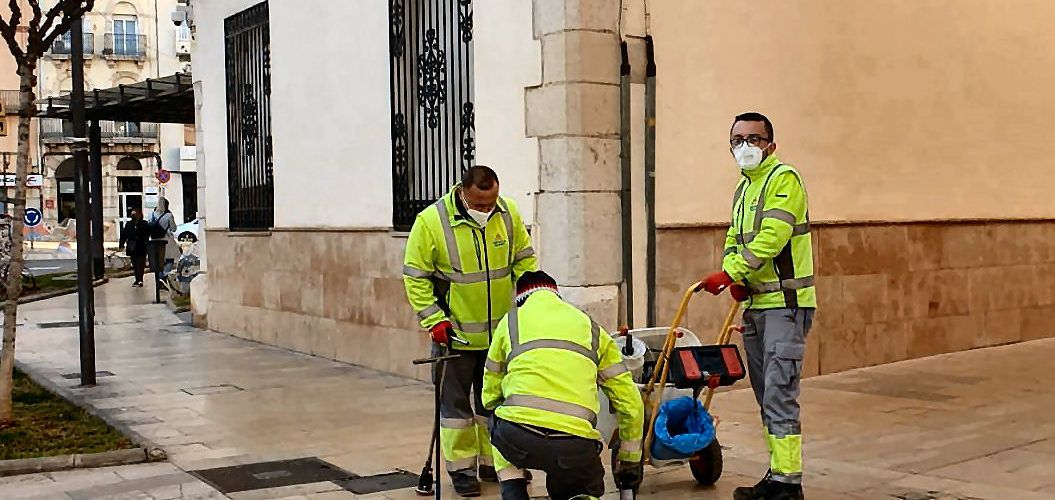 L’Ajuntament de Vinaròs aplica tractaments contra les paneroles i rosegadors