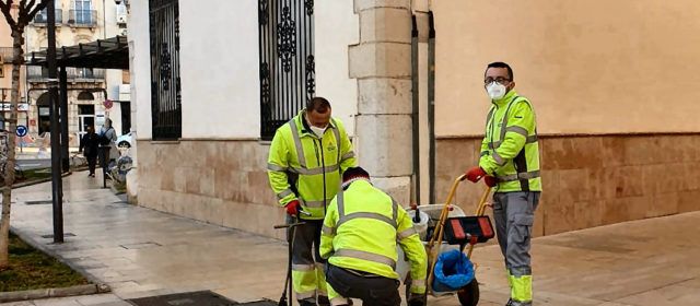 L’Ajuntament de Vinaròs aplica tractaments contra les paneroles i rosegadors