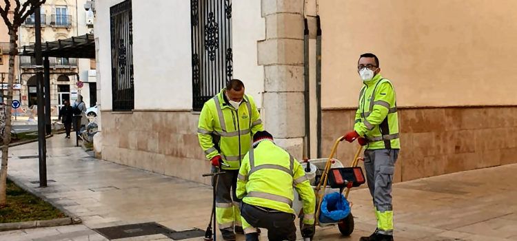 L’Ajuntament de Vinaròs aplica tractaments contra les paneroles i rosegadors