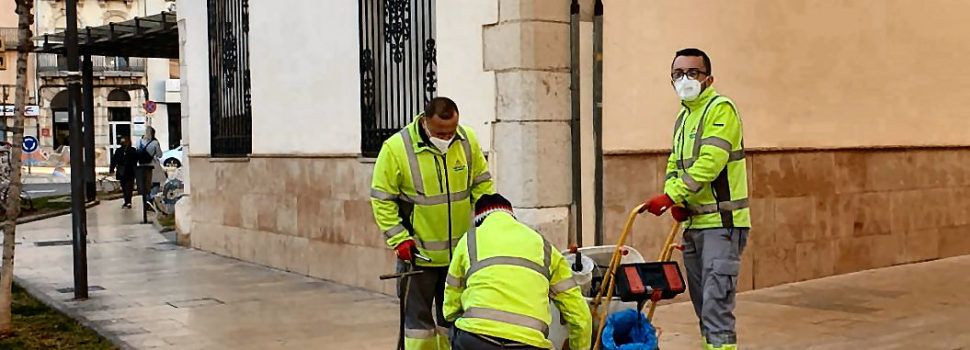 L’Ajuntament de Vinaròs aplica tractaments contra les paneroles i rosegadors