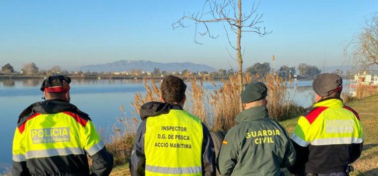 Intervenidos 60 kg de ostrón tras inspecciones de pesca en el Delta de l’Ebre