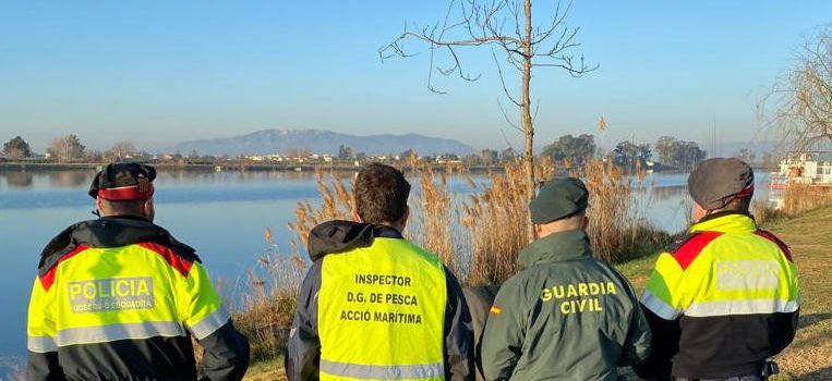 Intervenidos 60 kg de ostrón tras inspecciones de pesca en el Delta de l’Ebre