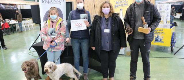 Benassal clausura la Mostra de la Trufa amb alt èxit de participació