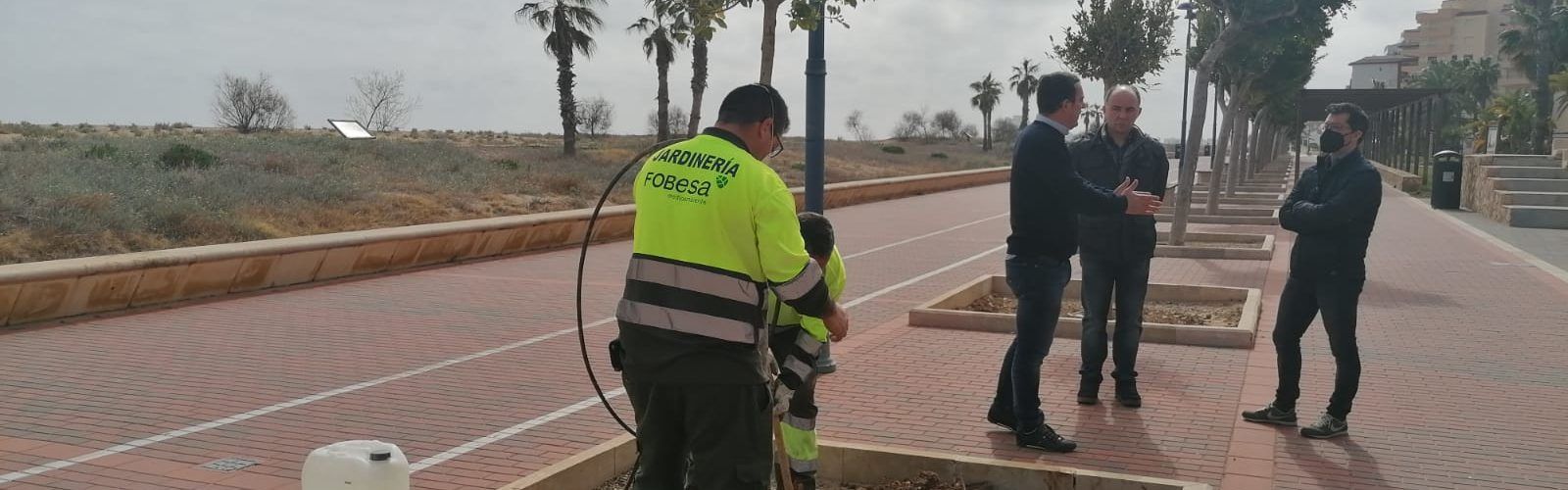 Peníscola amplia la plantació d’arbres