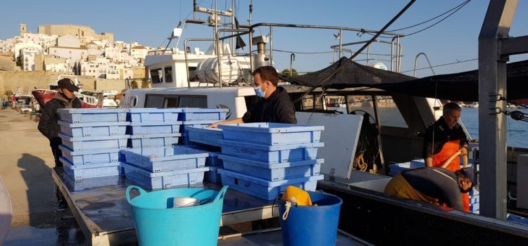 COINCOPESCA exigeix a la Secretaria General de Pesca que indique d’una vegada per sempre els dies que corresponen pescar a l’arrossegament