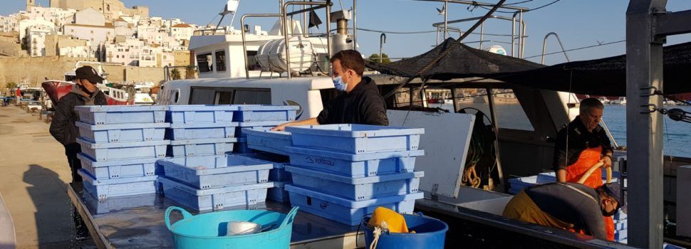 COINCOPESCA exigeix a la Secretaria General de Pesca que indique d’una vegada per sempre els dies que  corresponen pescar a l’arrossegament
