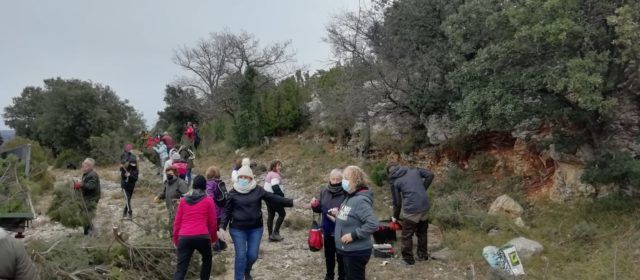 Fotos: Dia de la malea a Vallibona