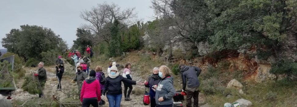 Fotos: Dia de la malea a Vallibona