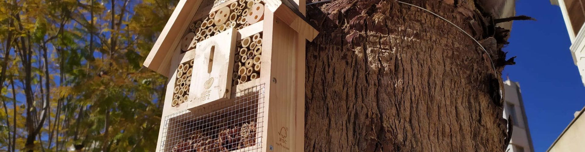 S’instal·len insectaris en els jardins municipals de Vinaròs
