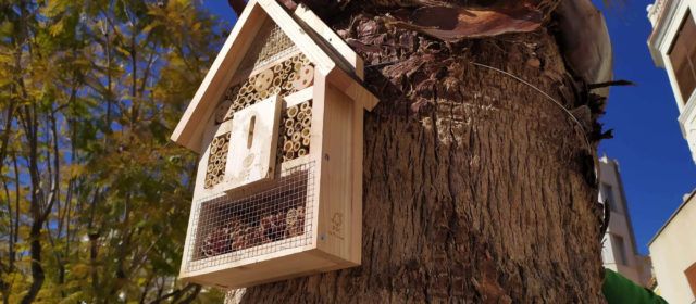 S’instal·len insectaris en els jardins municipals de Vinaròs