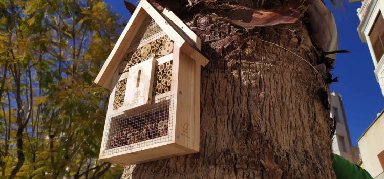 S’instal·len insectaris en els jardins municipals de Vinaròs