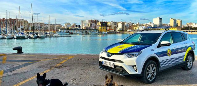 La Policia Local de Vinaròs fa un balanç positiu de la unitat canina