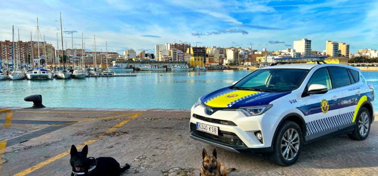 La Policia Local de Vinaròs fa un balanç positiu de la unitat canina