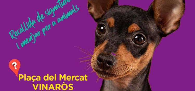#26F: Per Una Llei Que Defense Els Animals