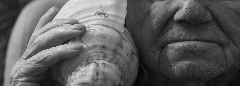 La lligueta de març d’AFOVINA, guanyada per Elisa Lleixà
