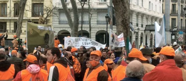 Presència vinarossenca en la manifestació del món rural a Madrid