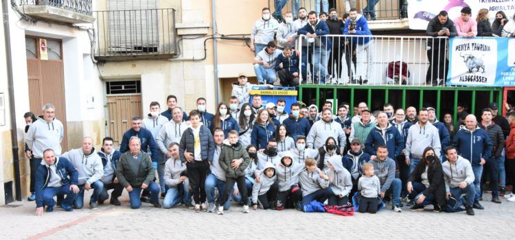 Albocàsser gaudeix d’un intens cap de setmana de ‘Bous al carrer’