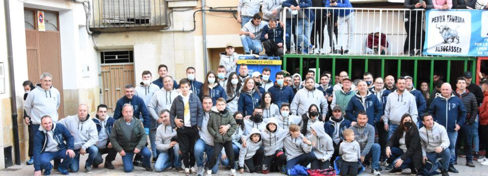 Albocàsser gaudeix d’un intens cap de setmana de ‘Bous al carrer’