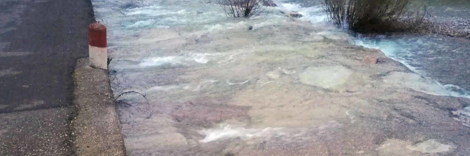 Vídeos: el Cervol, baixant per Vallibona i Canet