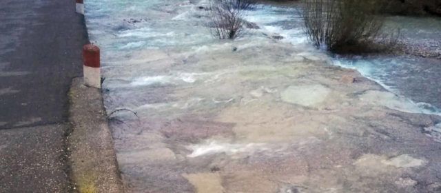 Vídeos: el Cervol, baixant per Vallibona i Canet