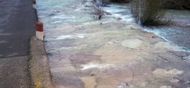 Vídeos: el Cervol, baixant per Vallibona i Canet