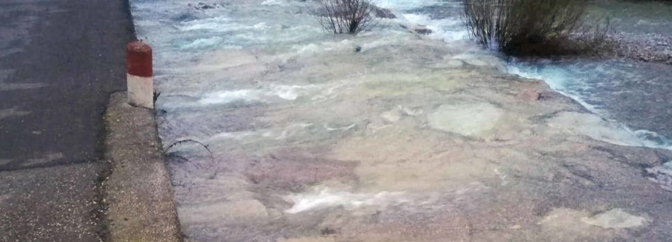 Vídeos: el Cervol, baixant per Vallibona i Canet
