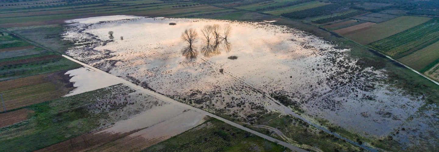 La llacuna de Sant Mateu, inclosa en el Catàleg de Zones Humides i