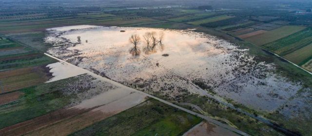 La llacuna de Sant Mateu, inclosa en el Catàleg de Zones Humides i