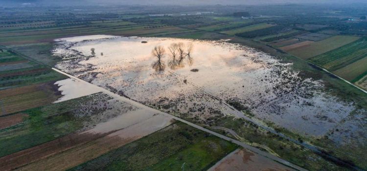 La llacuna de Sant Mateu, inclosa en el Catàleg de Zones Humides i
