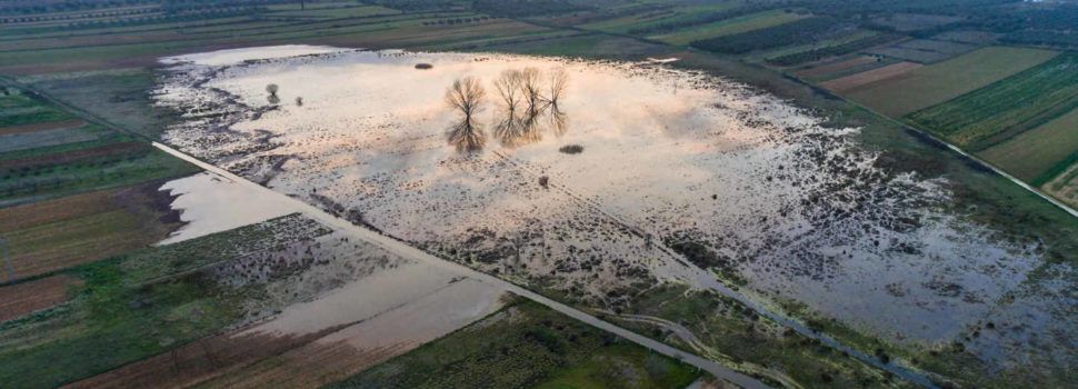 La llacuna de Sant Mateu, inclosa en el Catàleg de Zones Humides i