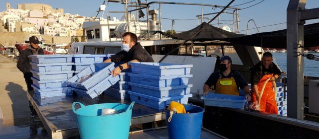 Els pescadors professionals valencians continuen compromesos amb la lluita contra el fem marí