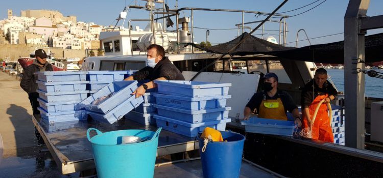 Els pescadors professionals valencians continuen compromesos amb la lluita contra el fem marí