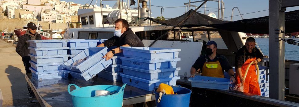 Els pescadors professionals valencians continuen compromesos amb la lluita contra el fem marí