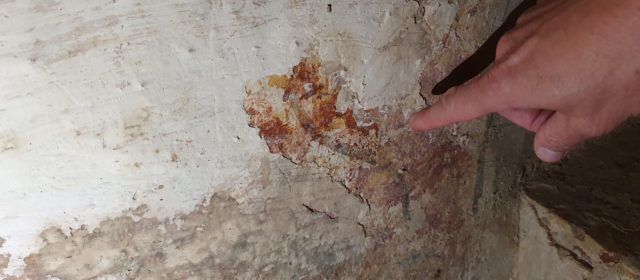 Unes cates descobreixen les pintures originals de les parets de l’ermita romànica de Vallibona