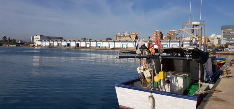 El preu del gasoil pels núvols fa insostenible l’activitat pesquera en la Comunitat Valenciana