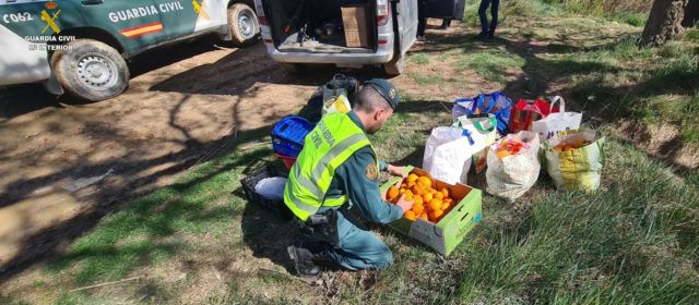 Hurto de naranjas recogidas directamente de una explotación agrícola próxima a Tortosa
