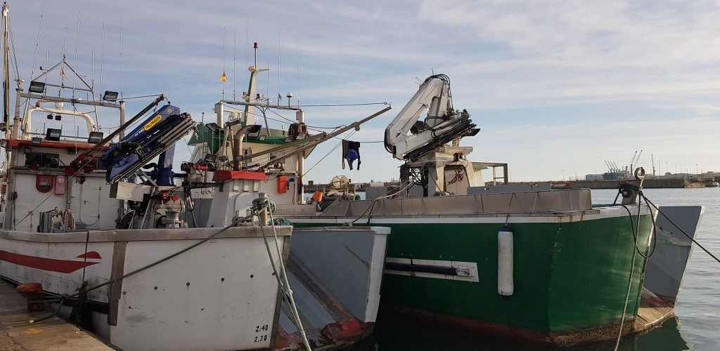 Tota la flota de pesca de cércol de la Comunitat Valenciana pararà el mes d’abril per a regenerar els caladors de peix blau