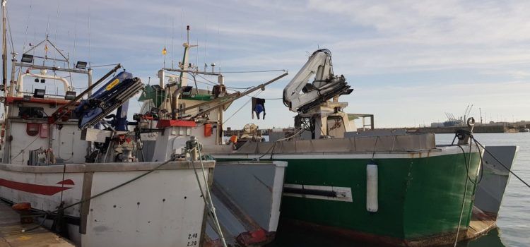 Tota la flota de pesca de cércol de la Comunitat Valenciana pararà el mes d’abril per a regenerar els caladors de peix blau
