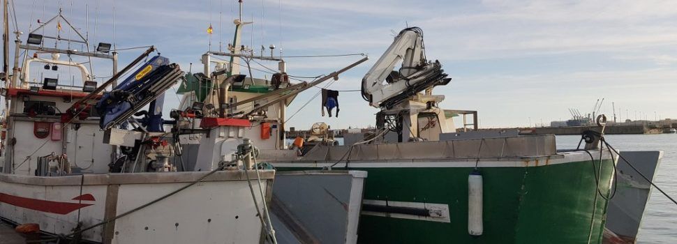 Tota la flota de pesca de cércol de la Comunitat Valenciana pararà el mes d’abril per a regenerar els caladors de peix blau