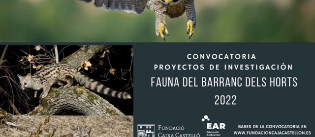 La Fundació Caixa Castelló convoca los proyectos de investigación Fauna del Barranc dels Horts 2022