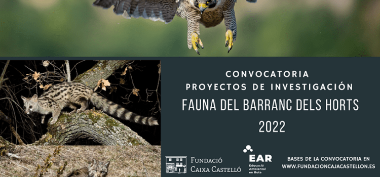 La Fundació Caixa Castelló convoca los proyectos de investigación Fauna del Barranc dels Horts 2022