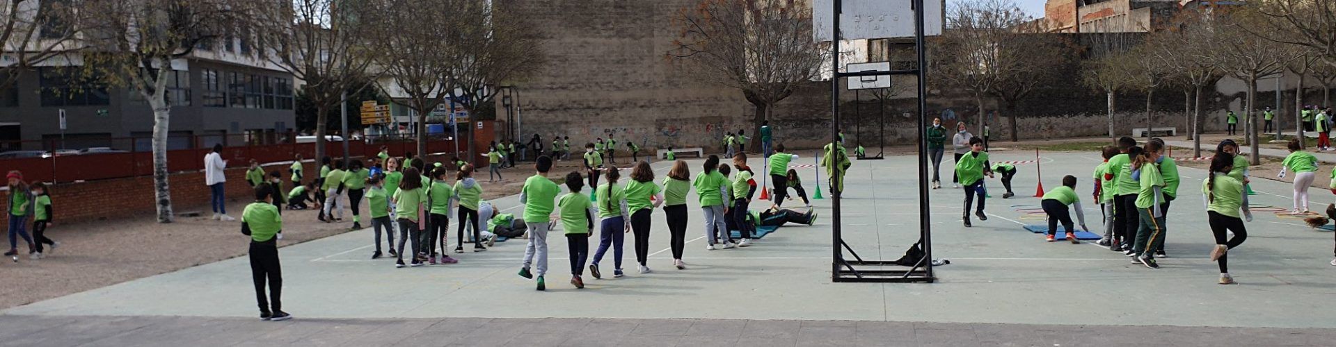Vídeo i fotos: Dia de l’Esport als centres educatius