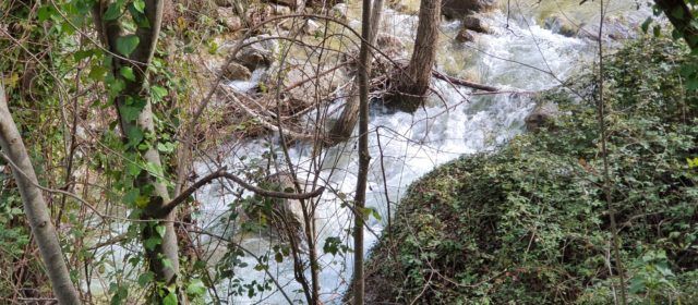 Vídeo i fotos: El Cervol reviu a Vallibona en plena Pasqua