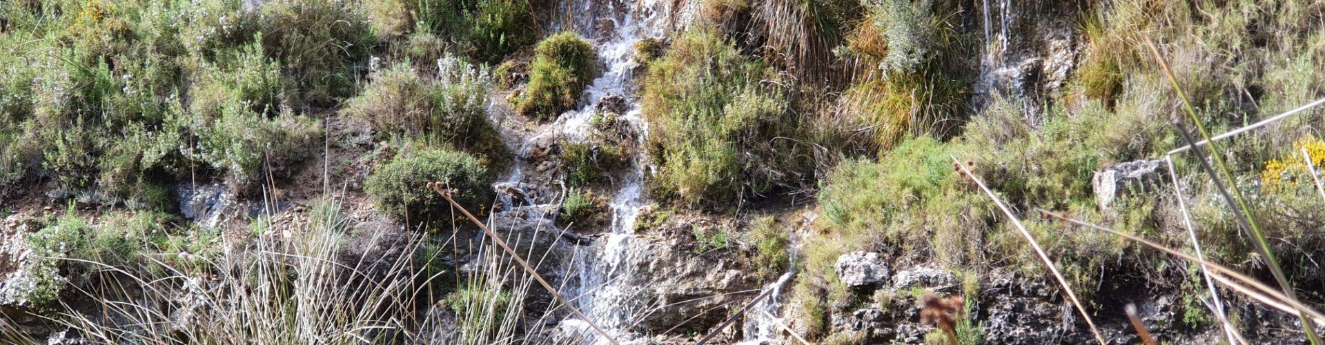 Vídeos: Rius i barrancs reviuen a l’abril